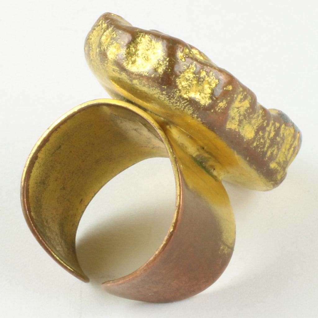 Jacob Hull ring monteret med ringskinne til udvidelse