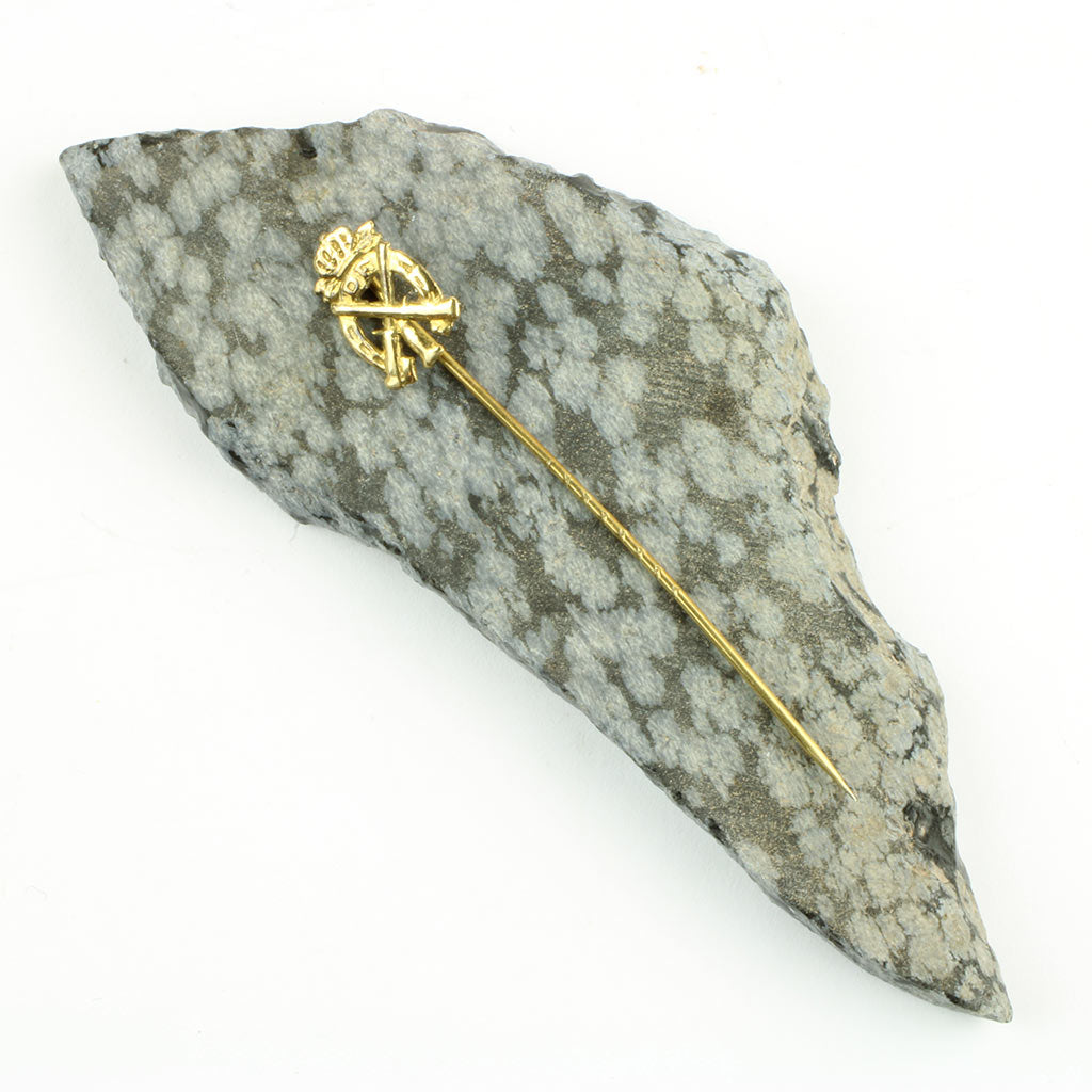 Emblem i guld eller double fra DF