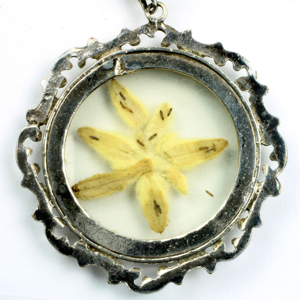 Edelweiss medaljon med halskæde