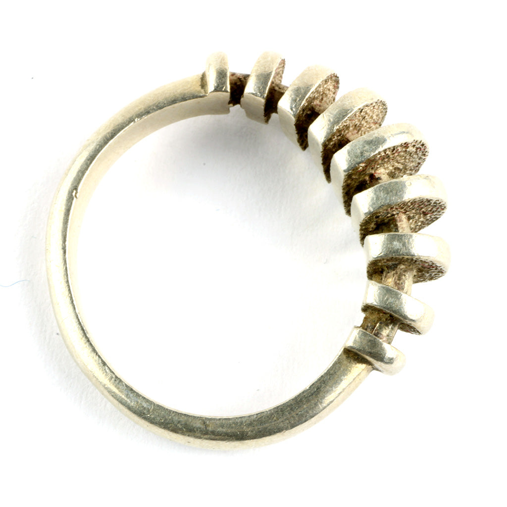 Ringen består af talrige skiver der er fæstnet på ringskinne