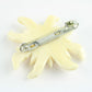 Edelweiss broche af ben