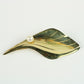 Bladformet broche af 14 kt. guld med saltvandskulturperle